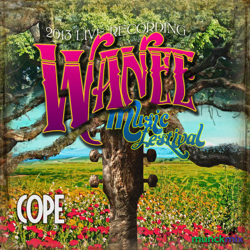 Cope - Live at 2013 Wanee Music Festival