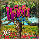 Cope - Live at 2013 Wanee Music Festival