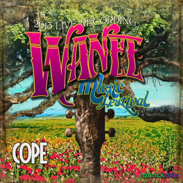 Cope - Live at 2013 Wanee Music Festival