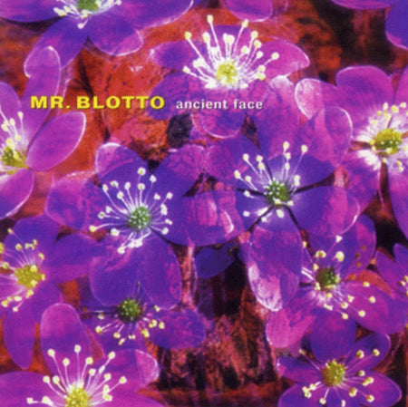 Mr. Blotto: Live At The Leaf