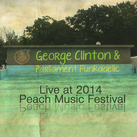 Tribute to George Wesley - Live at 2016 Peach Music Festival