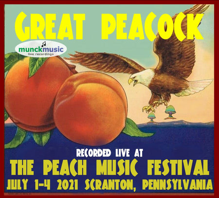 Live at The Fillmore East Tribute - Live at The 2021 Peach Music Festival