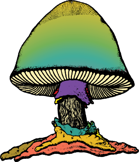 The Allman Brothers Band:  The Jazz Fest Shows Set