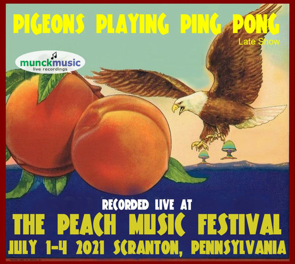 Pigeons Playing Ping Pong (Late Show) - Live at the 2021 Peach Music Festival
