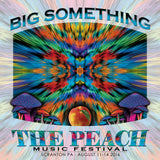 Big Something - Live at 2016 Peach Music Festival