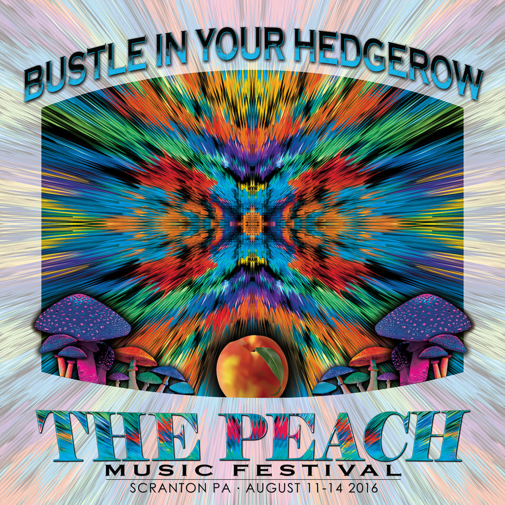Bustle in your Hedgerow - Live at 2016 Peach Music Festival