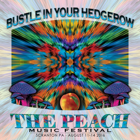 Gov't Mule  - Live at 2016 Peach Music Festival