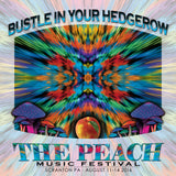 Bustle in your Hedgerow - Live at 2016 Peach Music Festival