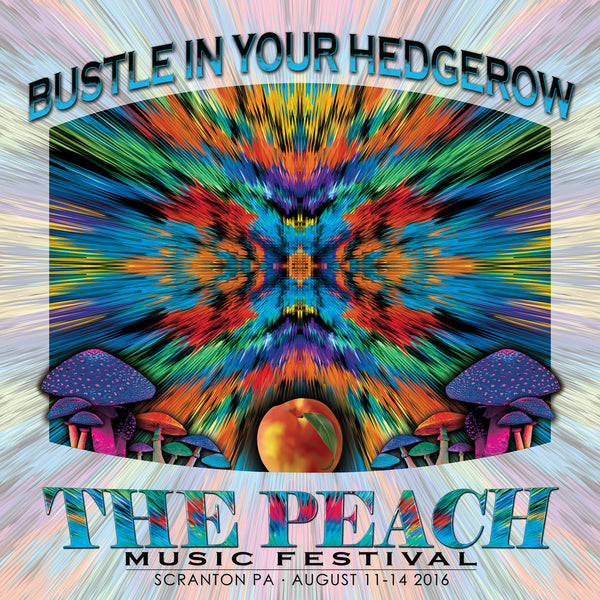 Bustle in your Hedgerow - Live at 2016 Peach Music Festival