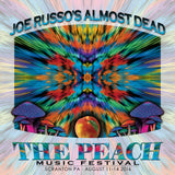 Joe Russo's Almost Dead - Live at 2016 Peach Music Festival