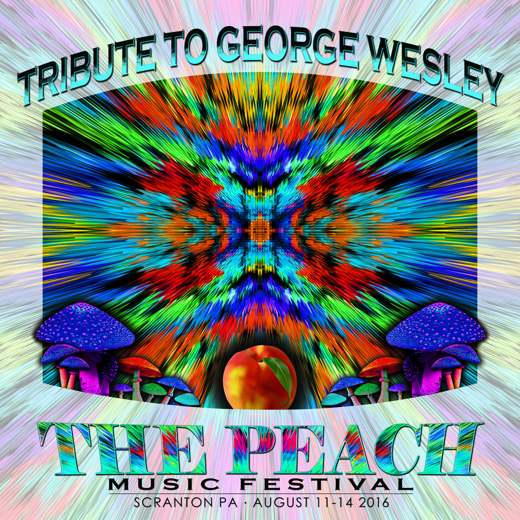 Tribute to George Wesley - Live at 2016 Peach Music Festival