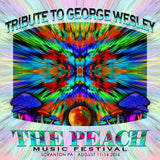 Tribute to George Wesley - Live at 2016 Peach Music Festival