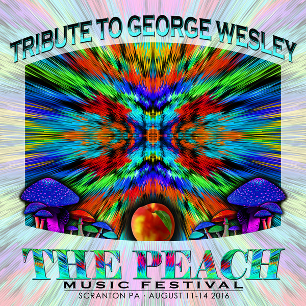 Tribute to George Wesley - Live at 2016 Peach Music Festival