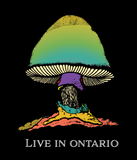 The Allman Brothers Band : Live in Ontario Set!