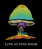 The Allman Brothers Band : Live at Pine Knob Set!