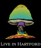 The Allman Brothers Band : Live in Hartford Set!