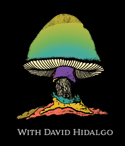 The Allman Brothers Band with David Hidalgo Collection