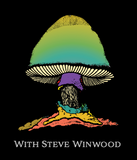 The Allman Brothers Band with Steve Winwood Collection
