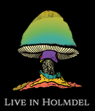 The Allman Brothers Band : Live in Holmdel Set!
