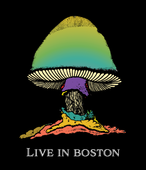 The Allman Brothers Band : The Boston Shows