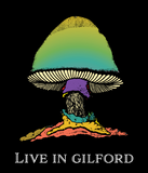 The Allman Brothers Band : Live in Gilford Set!