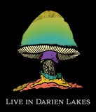 The Allman Brothers Band : Live in Darien Lakes Set!