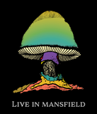 The Allman Brothers Band : Live in Mansfield Set!