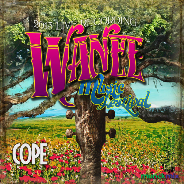 Cope - Live at 2013 Wanee Music Festival