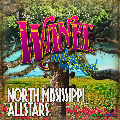 North Mississippi Allstars - Live at 2013 Wanee Music Festival