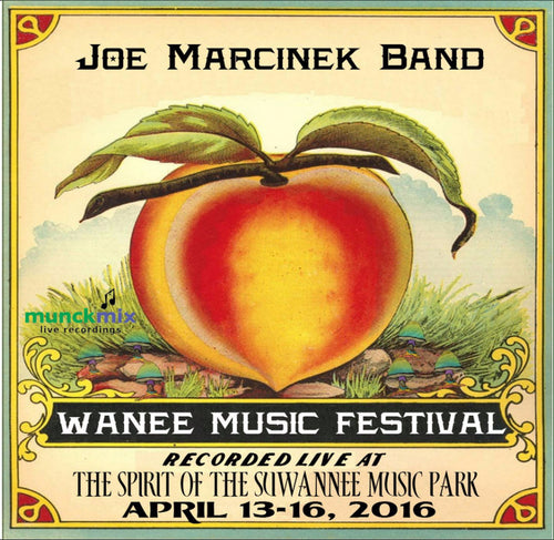 Joe Marcinek Band - Live at 2016 Wanee Music Festival