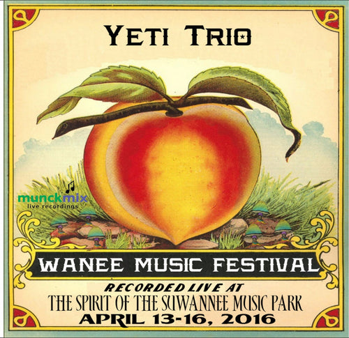 The Yeti Trio - Live at 2016 Wanee Music Festival