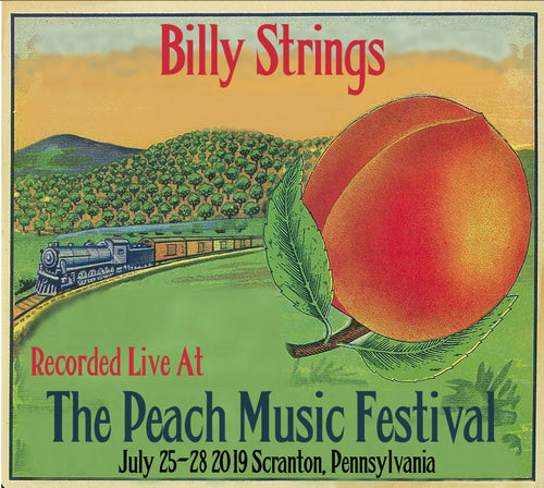 Billy Strings - Live at The 2019 Peach Music Festival