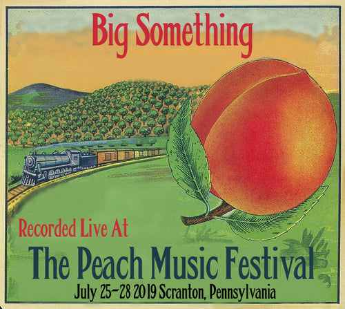 Big Something - Live at The 2019 Peach Music Festival