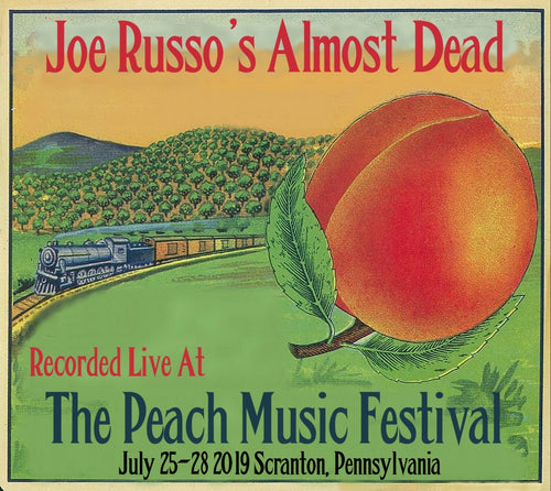 Joe Russo's Almost Dead - Live at The 2019 Peach Music Festival