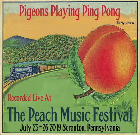 Pigeons Playing Ping Pong (VIP SHOW) - Live at The 2019 Peach Music Festival