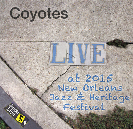 John Mooney & Bluesiana - Live at 2015 New Orleans Jazz & Heritage Festival