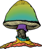 The Allman Brothers Band : The Boston Shows