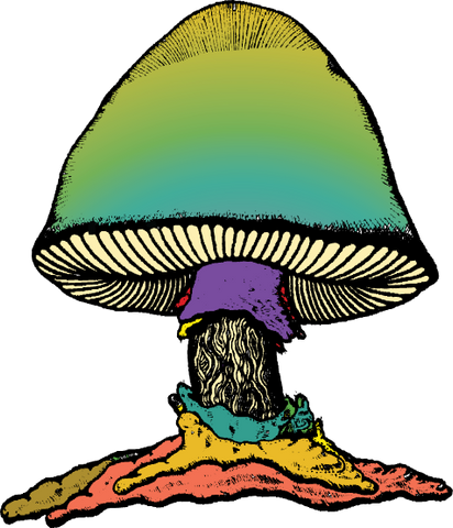 Mushroom_9d9a6122-8c5f-484f-