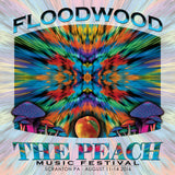 Floodwood - Live at 2016 Peach Music Festival