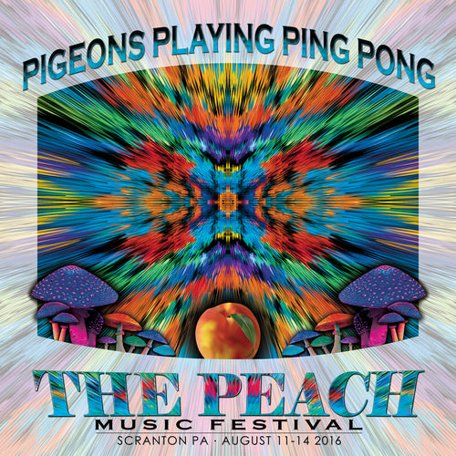 Pigeons Playing Ping Pong - Live at 2016 Peach Music Festival