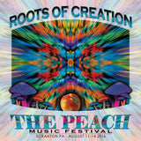 Roots of Creation - Live at 2016 Peach Music Festival