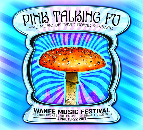 Pink Talking Fu - Live at 2017 Wanee Music Festival